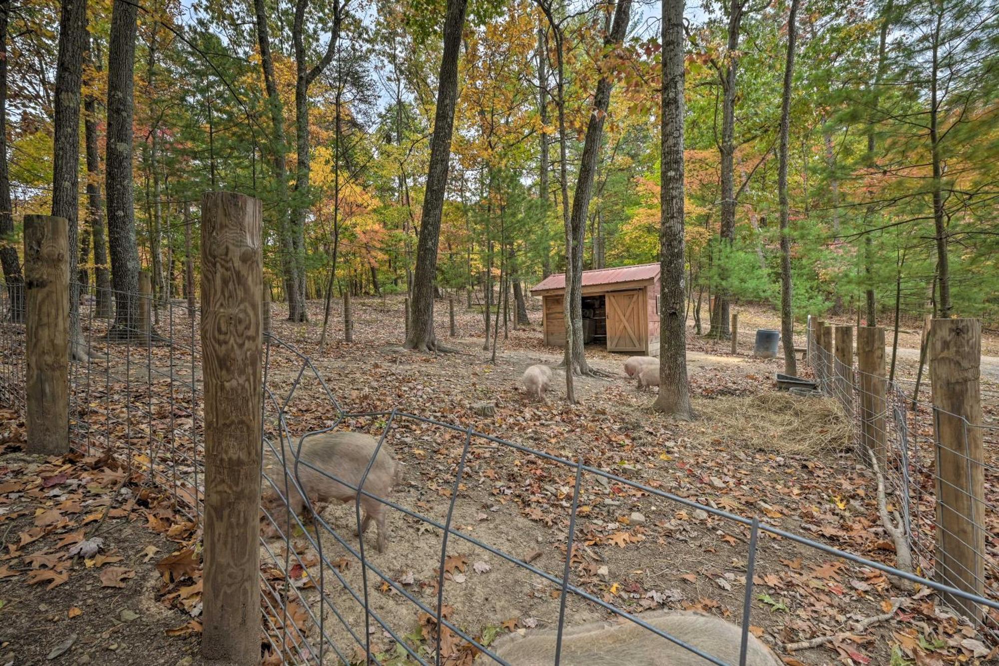 Lone Ranger Cabin With 50 Acres By Raystown Lake Huntingdon Exterior photo
